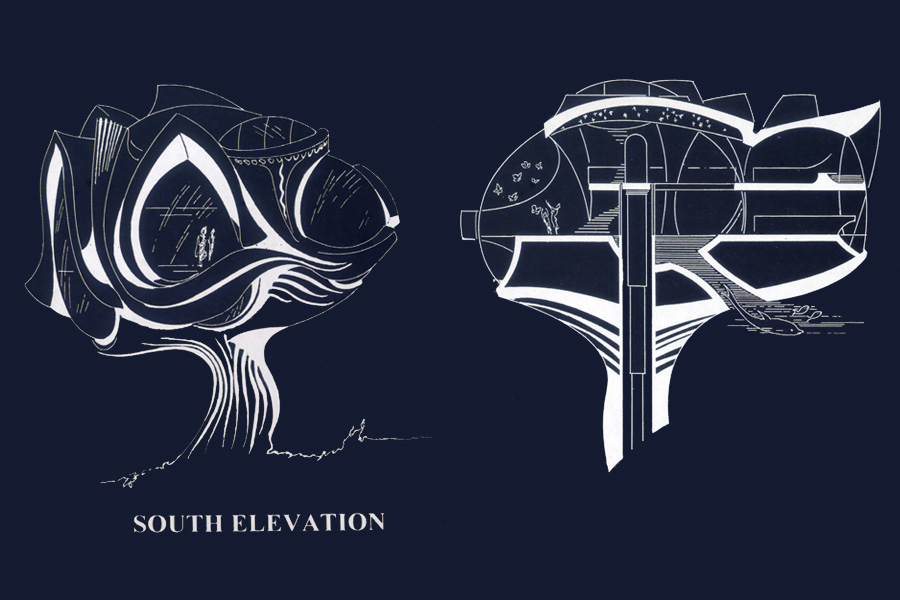 Elevation and Section of underwater house.