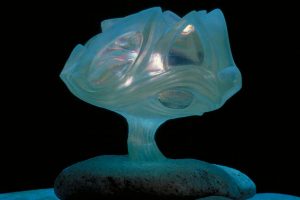 Deep Dream Model. Underwater house. Photo by Chuck Kimball. oceanic-organic architecture-modern-hubbell and hubbell-san diego,california
