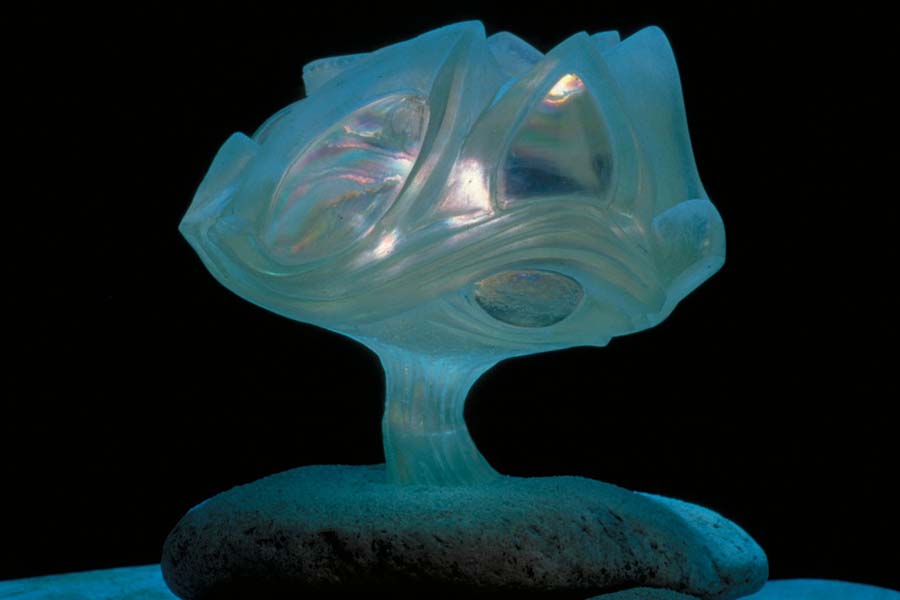 Deep Dream Model. Underwater house. Photo by Chuck Kimball. oceanic-organic architecture-modern-hubbell and hubbell-san diego,california