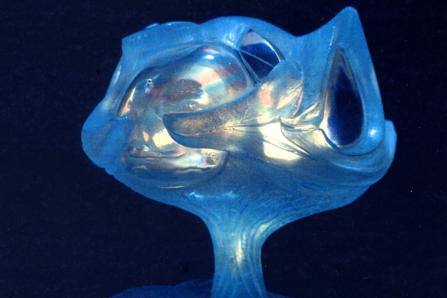 Deep Dream model.