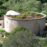 Green Roof Elfin Forest Interpretive Center