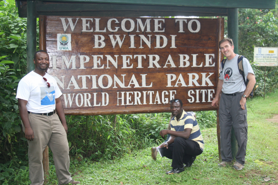 Gorilla Research – 2