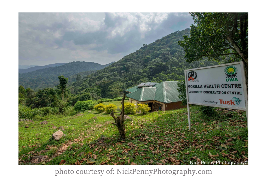Gorilla Research – 3